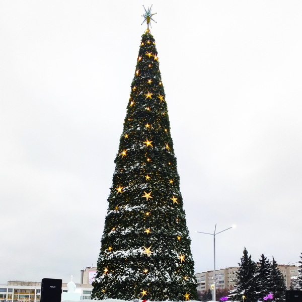 Северчан приглашают на открытие ледового городка