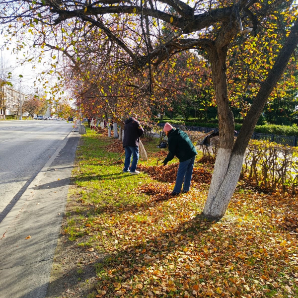 В Северске состоялся первый общегородской осенний субботник